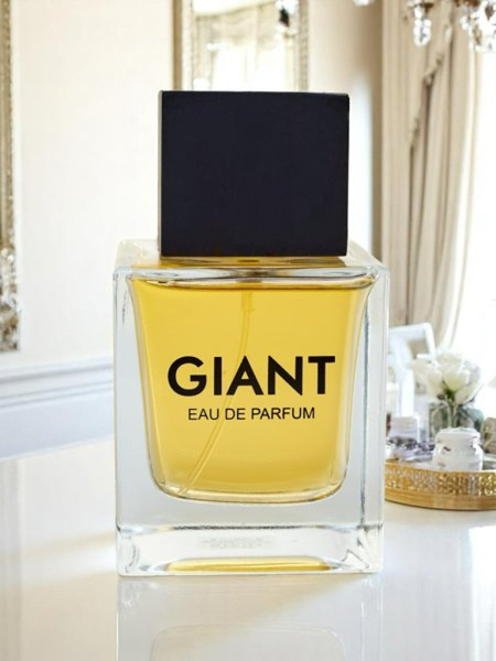 Inspired eau de parfum pro muže Giant Silver
