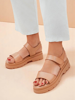 світло-коричневий || коричневий || темно-зелений