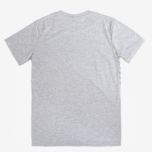 Сіра чоловіча футболка з принтом