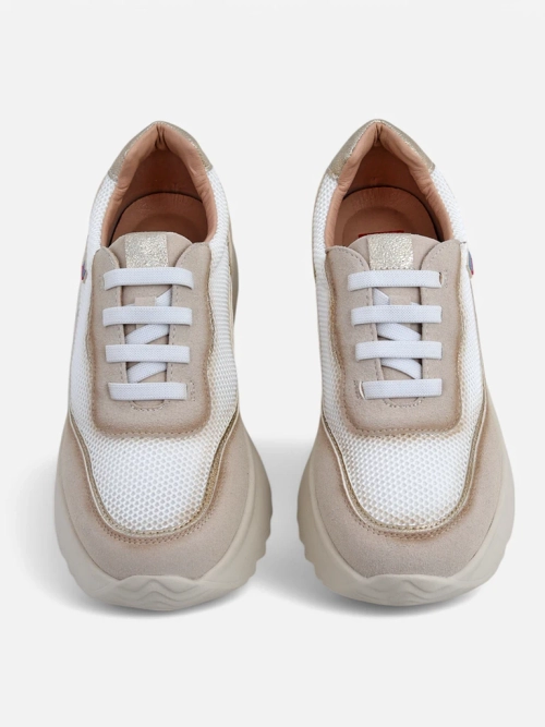 Royalfashion Жіночі кросівки Zarrni