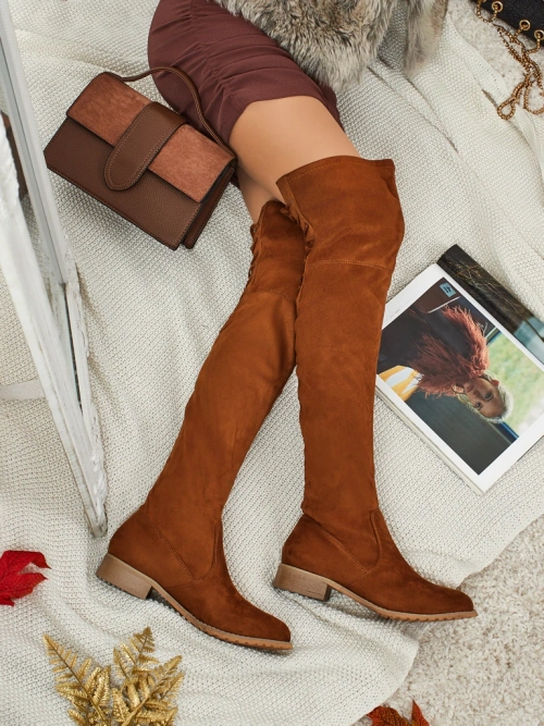 Жіночі ботфорти з екозамші Denvoria