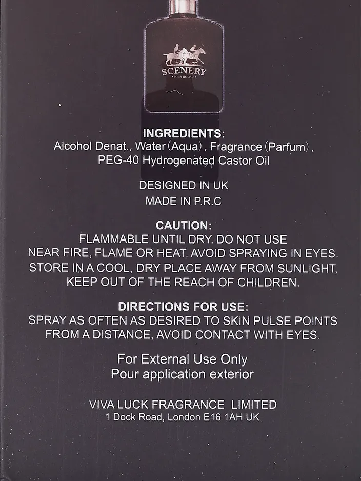 VV Love Scenery For Man Pánská toaletní voda 100ml