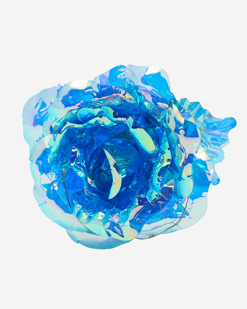 Royalfashion Вічна троянда