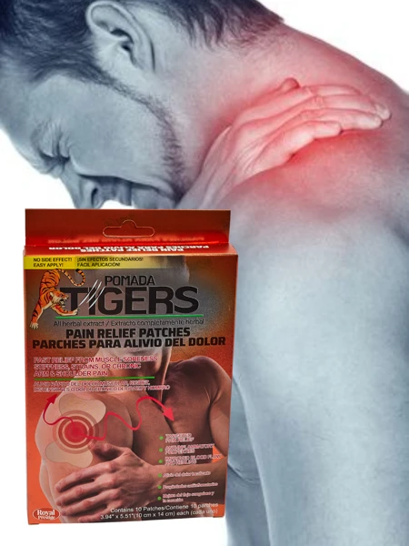 Náplasti proti bolesti 10 kusů