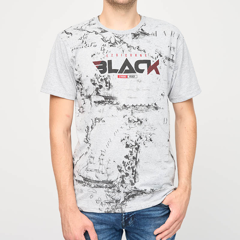 Šedé pánské tričko s potiskem - Oblečení