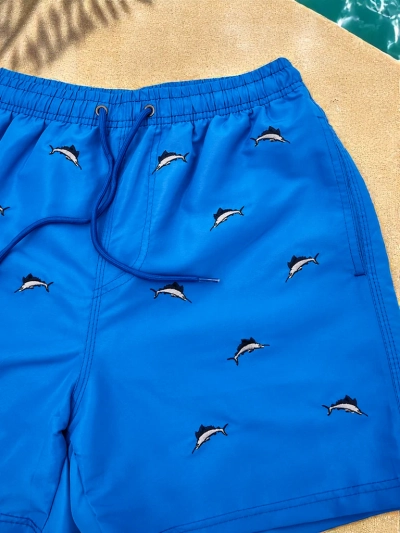 Royalfashion Pánské sportovní kraťasy s ochrannou síťovinou